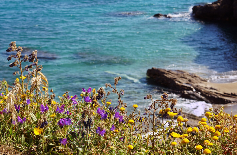 🧼 Cómo Organizar tu Ropa de Temporada en la Lavandería Autoservicio del Barrio de la Trinidad, Málaga Capital